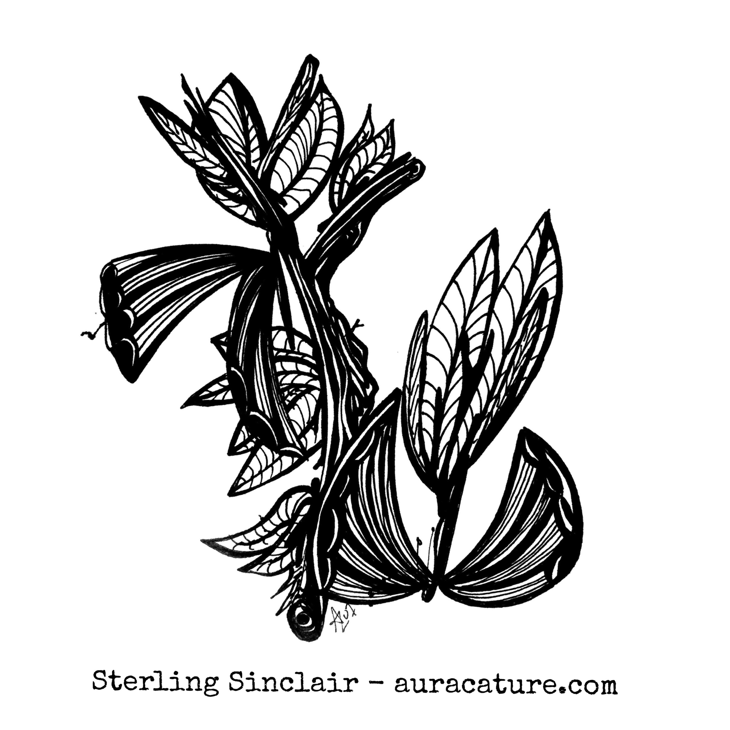 3000x3000 Drawing Auracature