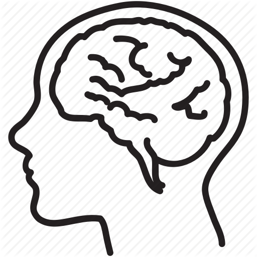 512x512 Drawing Science Brain Transparent Png Clipart Free Download