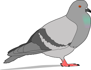 300x230 Collection Of Free Pigeon Drawing City Download On Ui Ex