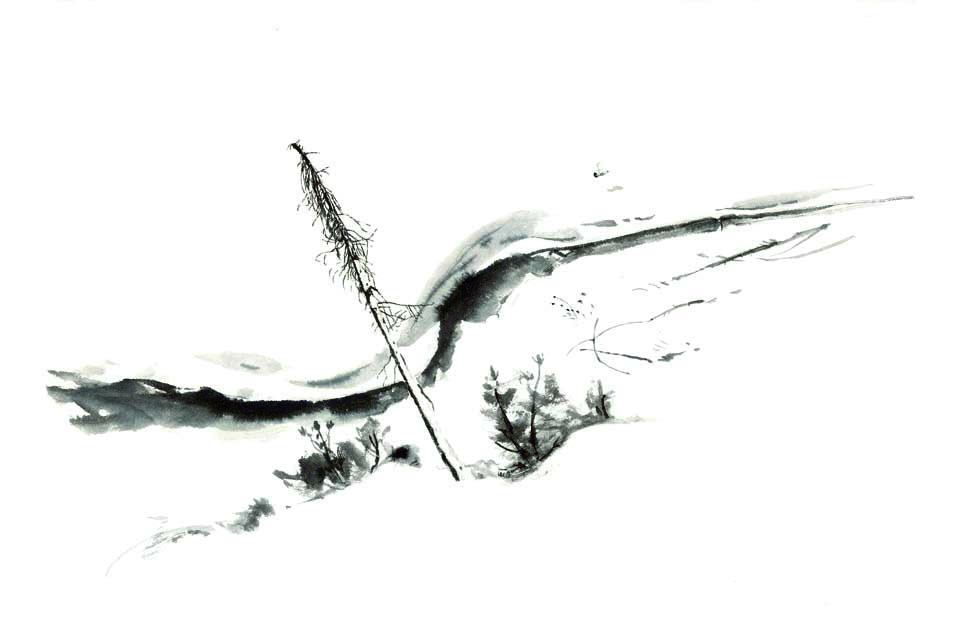 960x635 Landscape With Ptarmigan