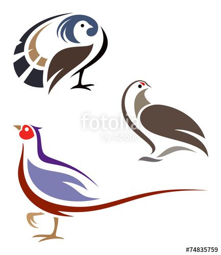 433x500 Design Birds, Pheasant, Bird Artwork