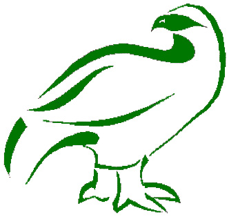 332x314 Ptarmigan Real Estate Ltd