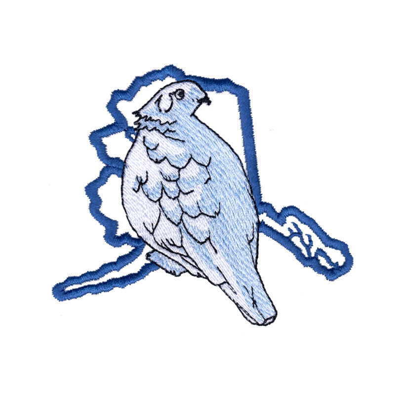 800x800 Willow Ptarmigan