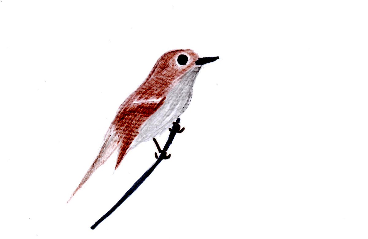 1200x781 beth underdown on twitter ben i saw ptarmigan up a scottish