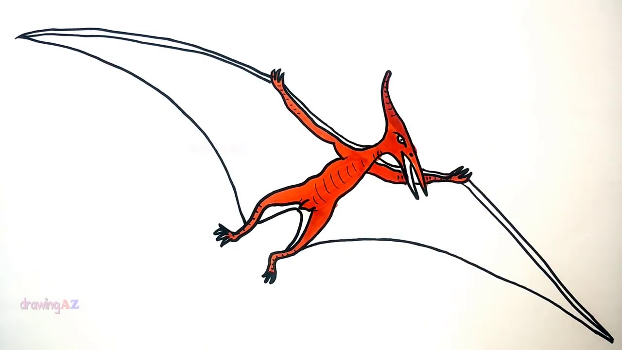 1280x720 how to draw pteranodon and pteranodon dinosaur coloring pages