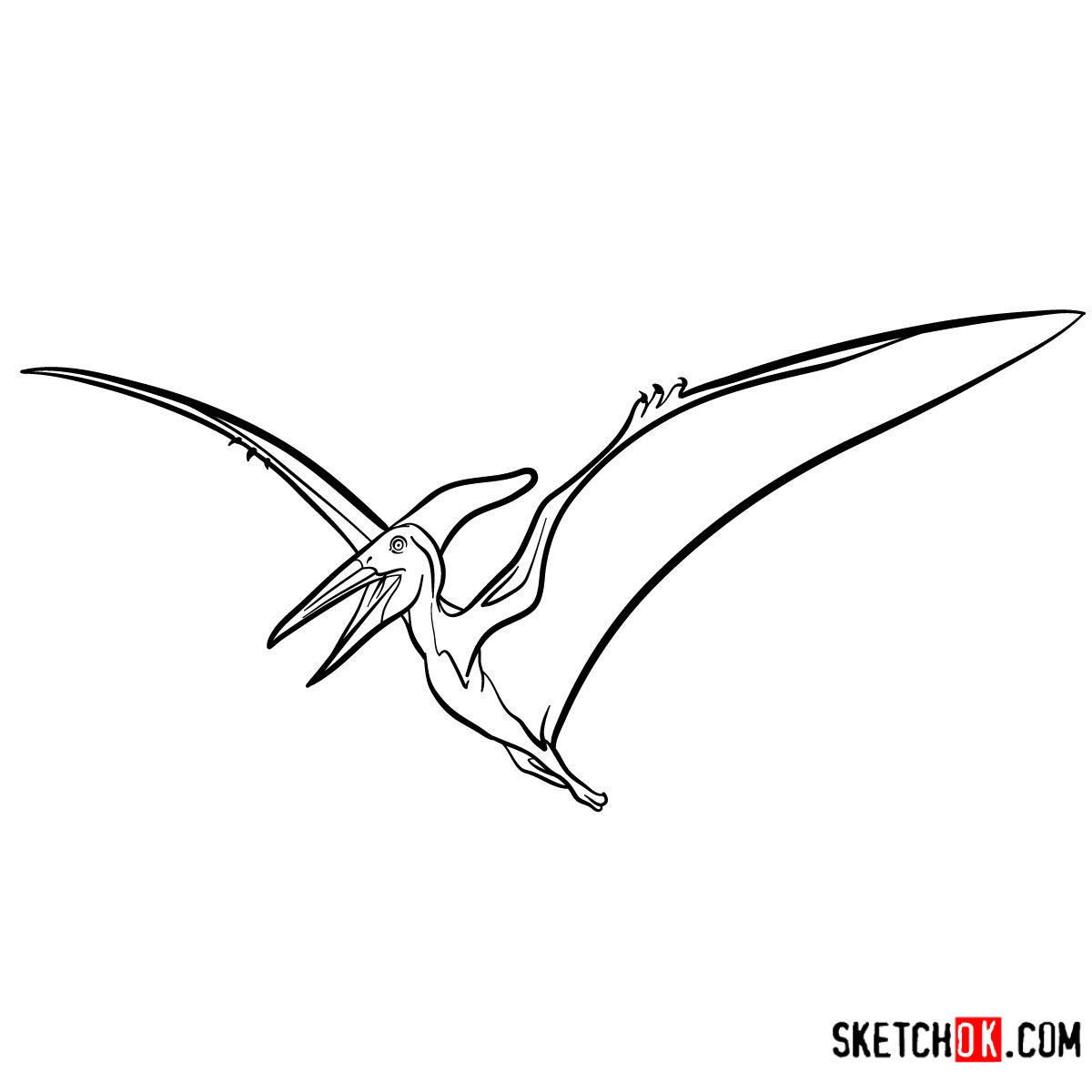 1200x1200 how to draw a pteranodon extinct animals