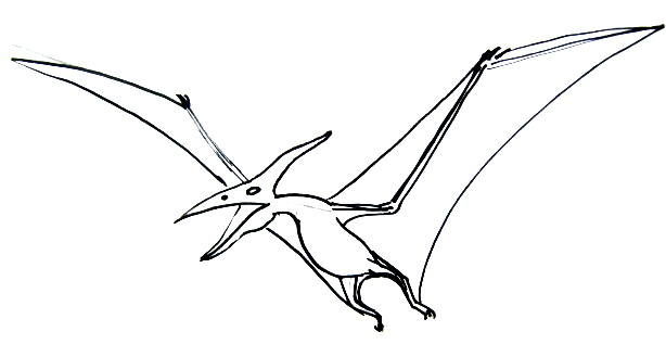 614x329 how to draw a pterodactyl