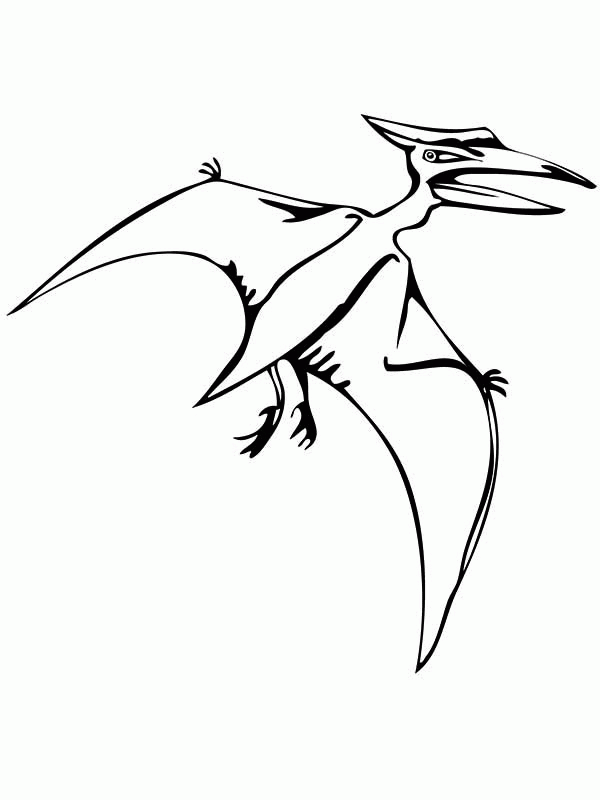 600x800 pteranodon flying reptile coloring