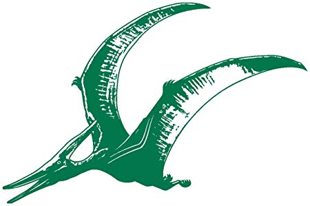 450x299 pteranodon wall sticker flugsaurier, green x amazon
