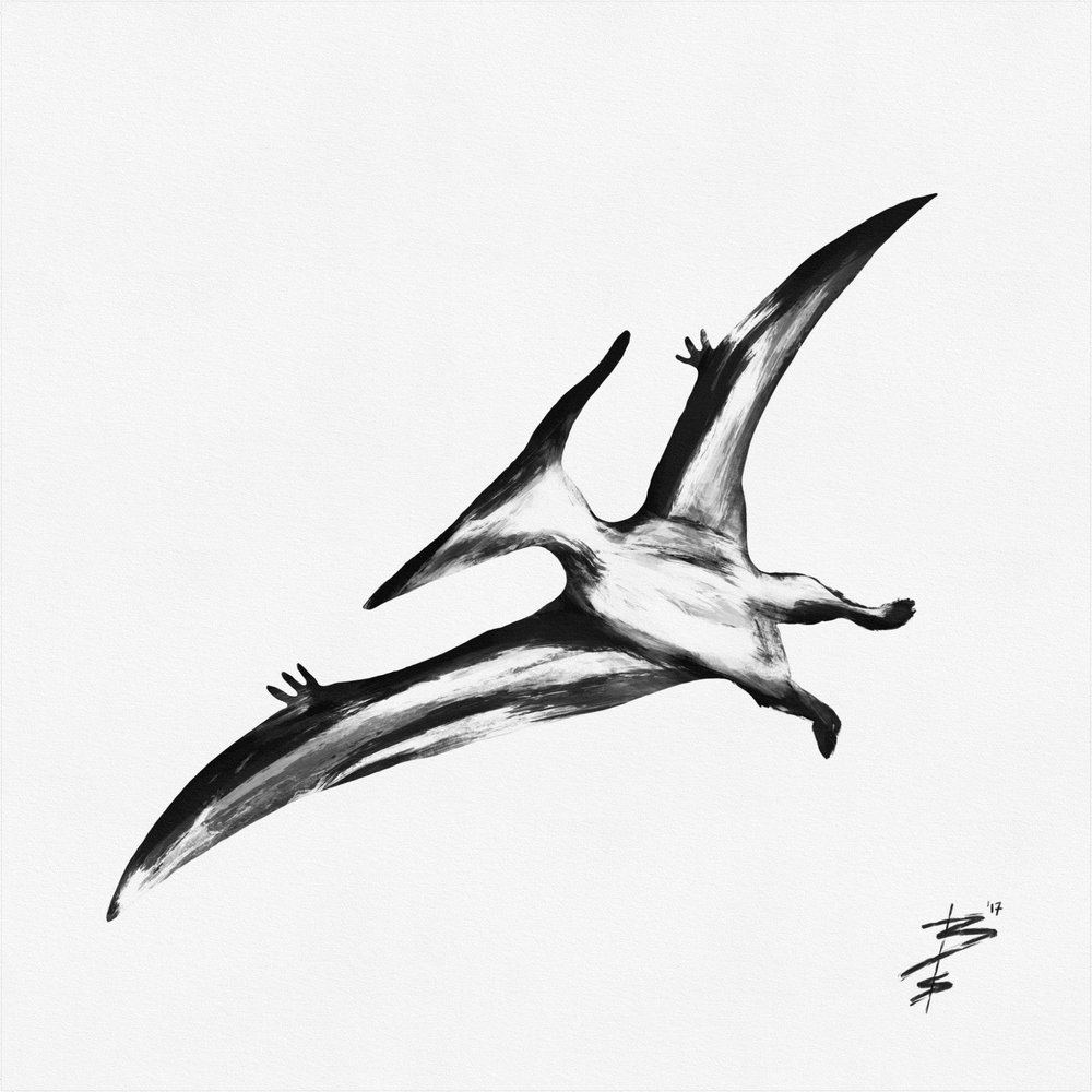 1000x1000 terry abstract ink brush pteranodon flying dinosaur square art