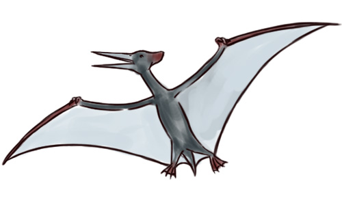 500x300 How To Draw A Pterodactyl Steps