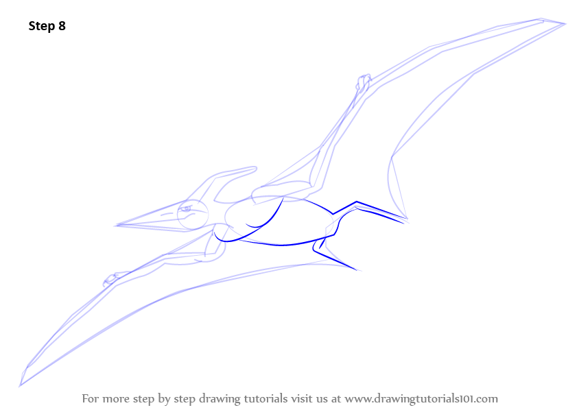 844x598 Learn How To Draw A Pterodactyl