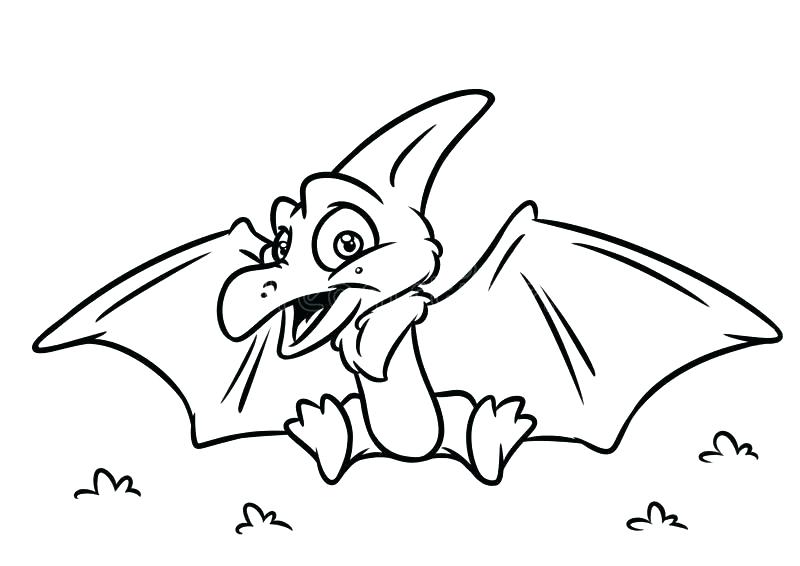 800x566 Pterodactyl Coloring Pages Animal Coloring Pages Online