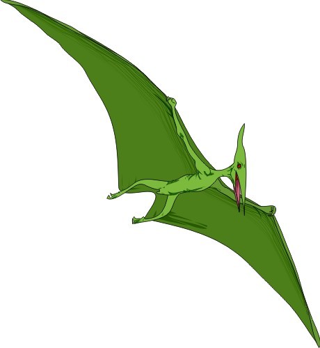 460x500 Pterodactyl Pictures Facts