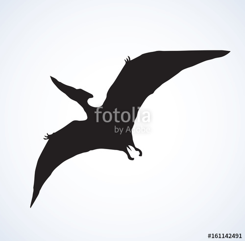 500x493 Pterodactyl Vector Drawing Stock Image And Royalty Free Vector