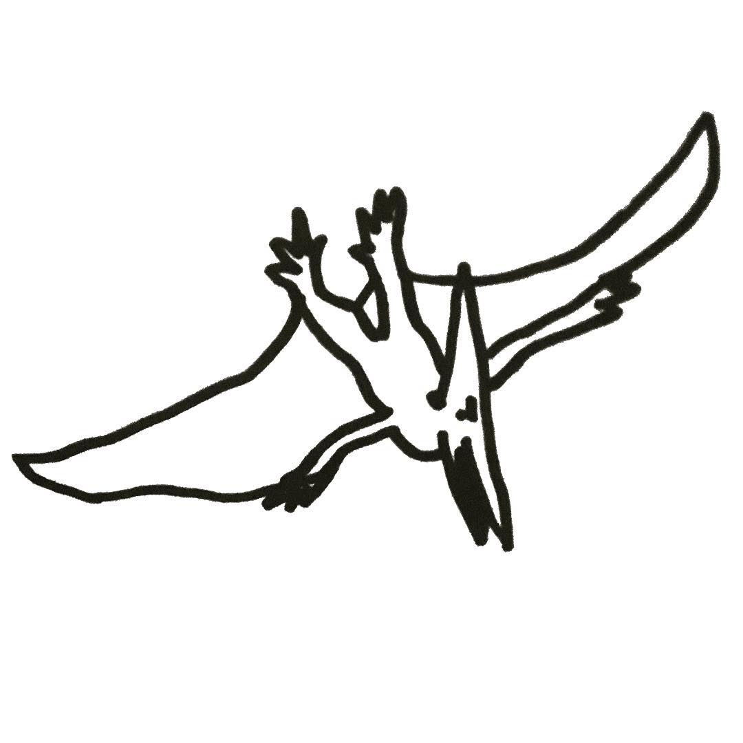 1080x1080 No Comply Network