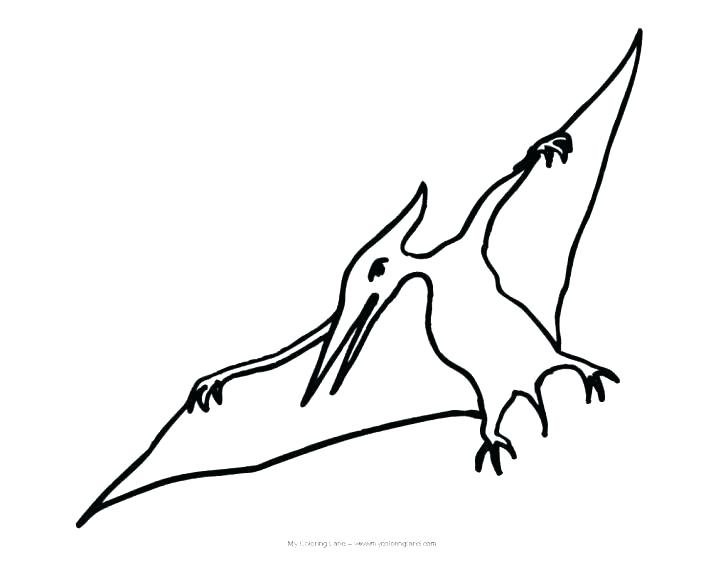 Collection of Pterodactyl clipart | Free download best Pterodactyl ...