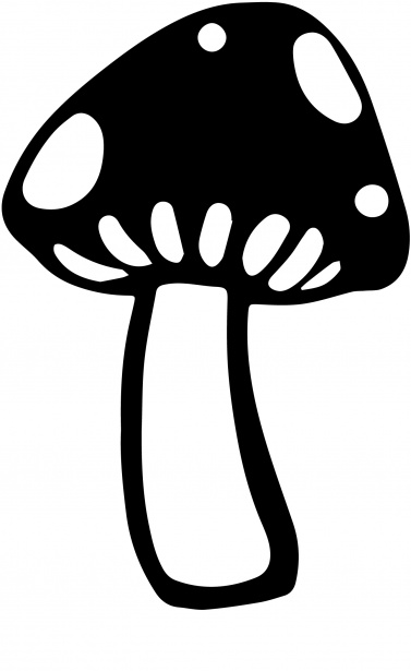 377x615 Mushroom Drawing Free Stock Photo