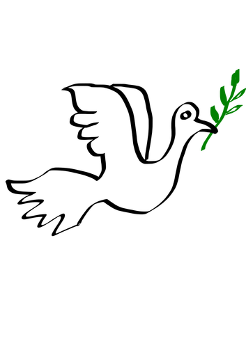 353x500 Peace Dove Drawing