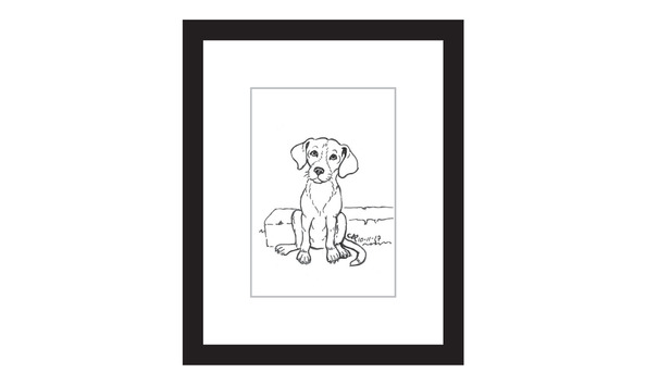 594x354 Framed Print Puerto Rican Sato