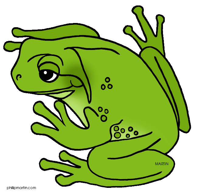 648x638 Bullfrog Drawing Coqui Puerto Rico Huge Freebie! Download