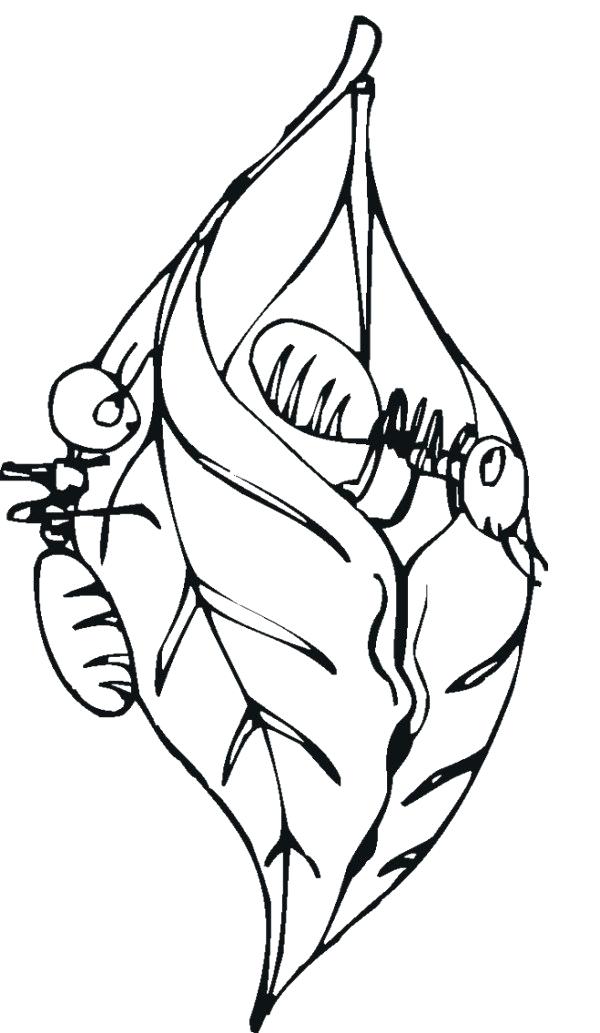 600x1033 how to draw an ant hill anthill ratings draw ant hill