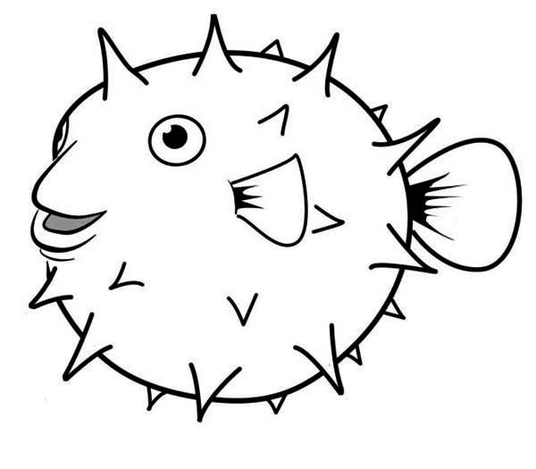 Puffer Fish Drawing | Free download on ClipArtMag