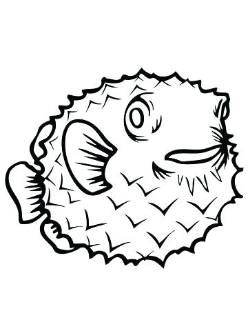 360x480 Puffer Fish Coloring