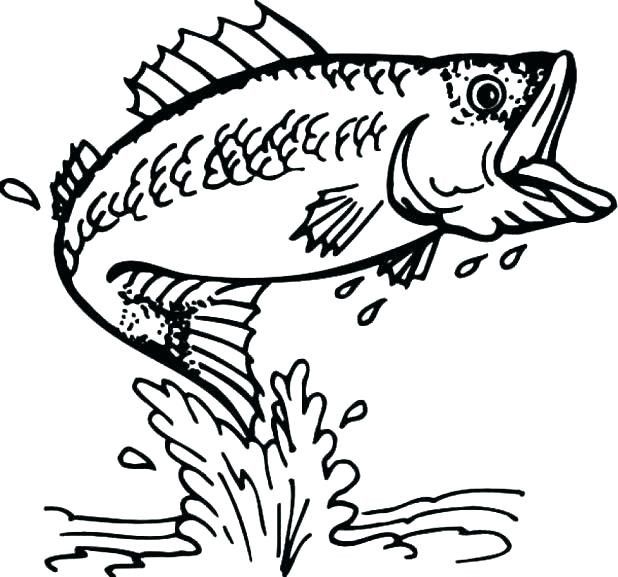 618x577 Cute Fish Coloring Pages And Fish Hooks Coloring Pages To Print