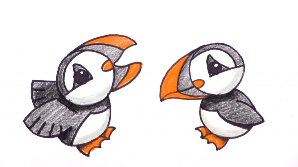 1024x572 How To Draw Cartoon Puffins