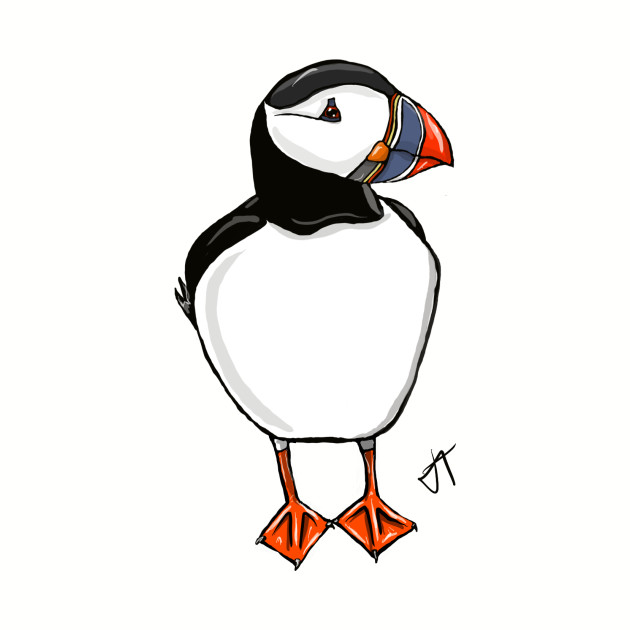 630x630 Jtstudios Posing Puffin