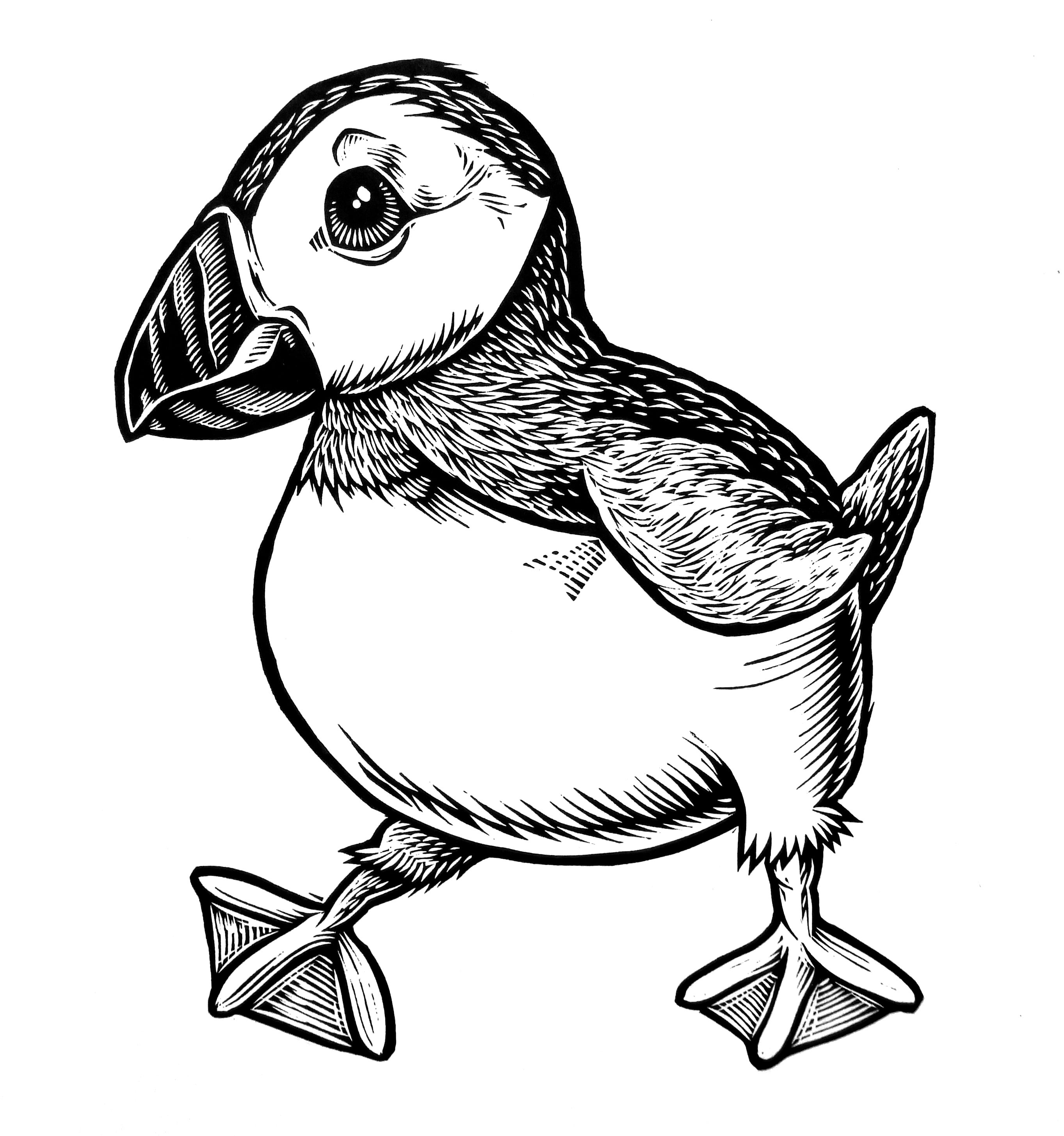 2726x2910 Noosh! Studios Puffin T Shirt Free Shipping