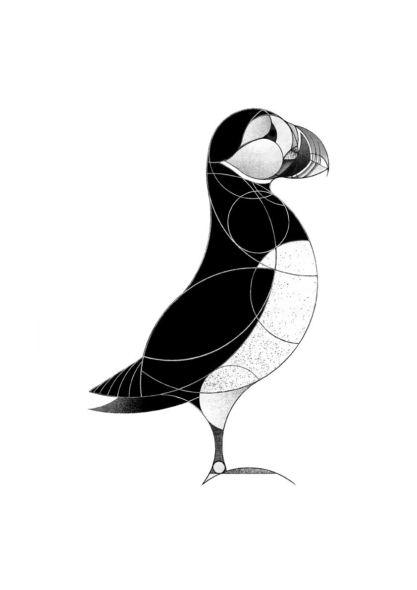 842x1191 Puffin
