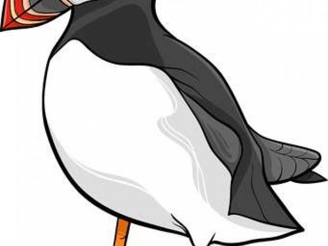 640x480 Puffin Clipart Free Clip Art Stock Illustrations