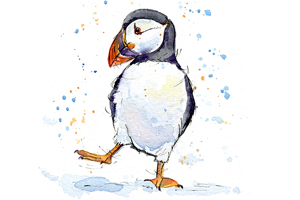 600x400 Puffin Studies