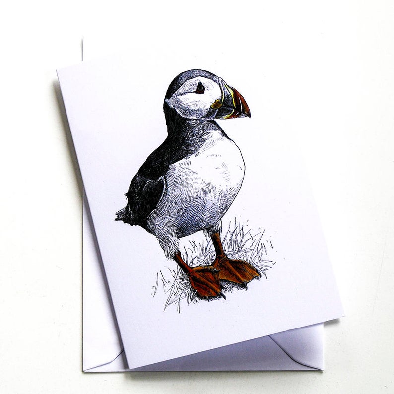 794x794 Blank Card Pat's Puffin Etsy