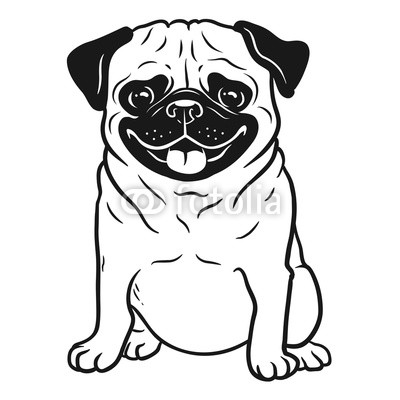 400x400 Pug Dog Black And White Hand Drawn Cartoon Portrait Funny Happy