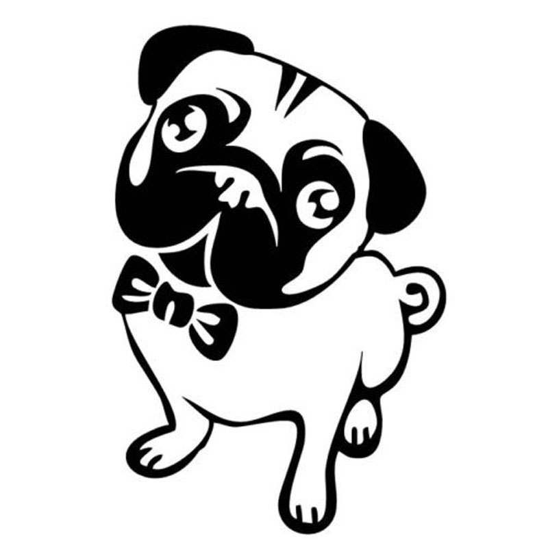 800x800 Pug Drawing Cartoon For Free Download