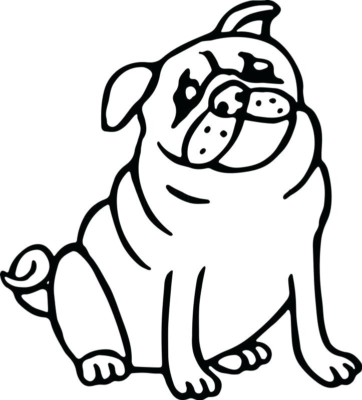 723x800 How To Draw A Pug Dog