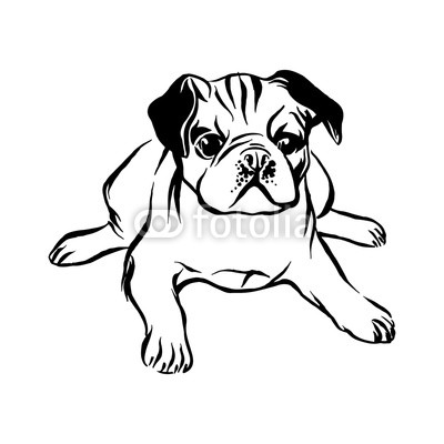400x400 Hand Drawn Lying Pug Puppy Dog Vector Sketch Black Isolated