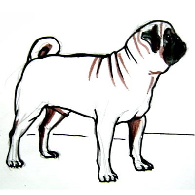 400x400 How To Draw A Pug