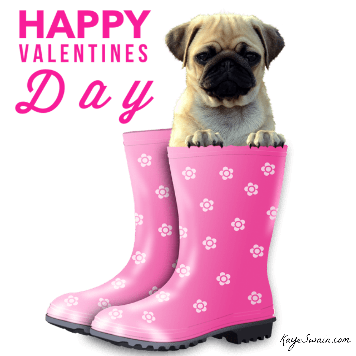 1200x1200 Socrates Drawing Pug Transparent Png Clipart Free Download