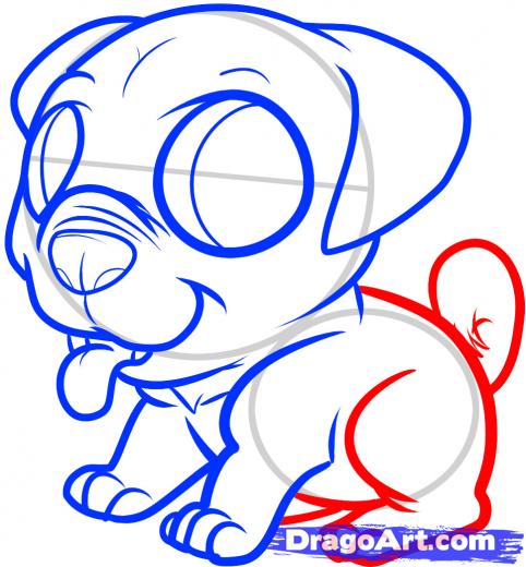 482x520 step how to draw a pug puppy, pug puppy