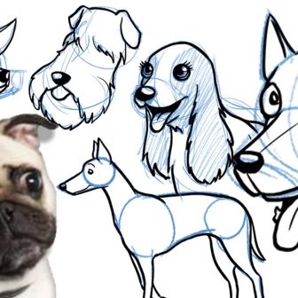 336x336 Drawing A Cartoon Dog Step