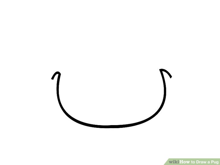 728x546 How To Draw A Pug Steps