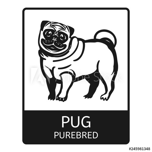 500x500 Pug Purebred Icon Simple Illustration Of Pug Purebred Vector Icon