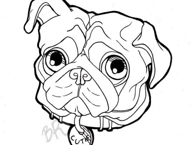 640x480 Drawn Pug