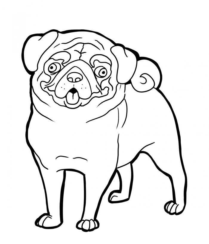 700x816 Pug Coloring Pages Coloring Book Dog Coloring Page, Coloring