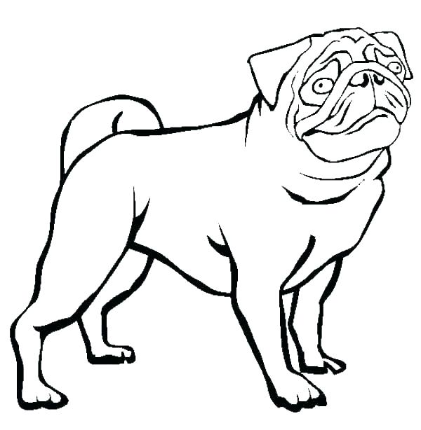 600x614 Pug Coloring Pages Printable