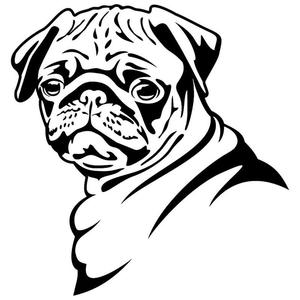 300x300 Pug Face Car Sticker Pug Passion Store